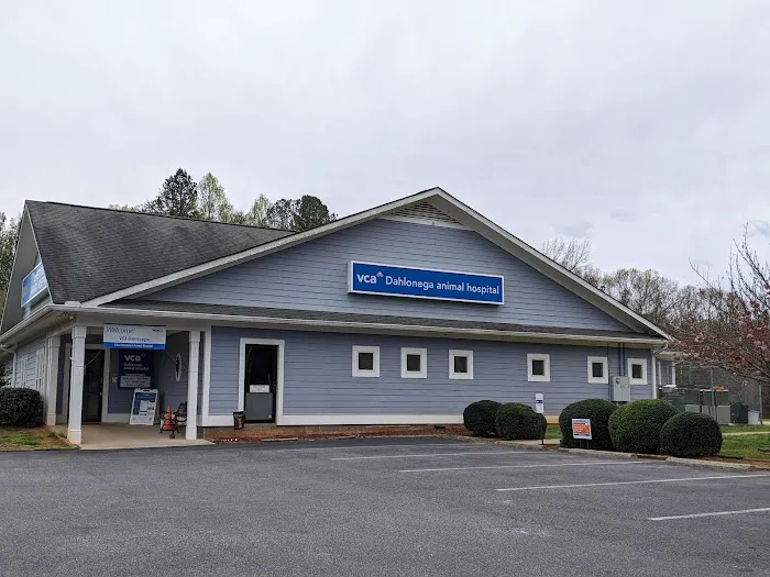 VCA Dahlonega Animal Hospital Picture 8