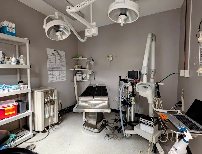 VCA Dahlonega Animal Hospital Picture 5
