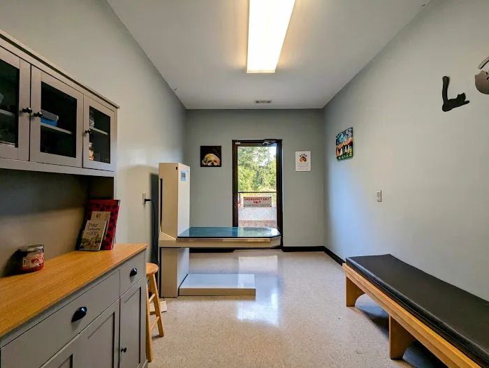 VCA Dahlonega Animal Hospital Picture 10