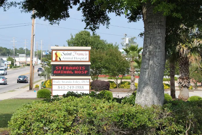 Saint Francis Animal Hospital Picture 8
