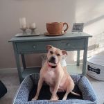Waterway Animal Hospital