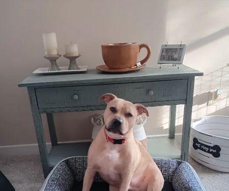 Waterway Animal Hospital
