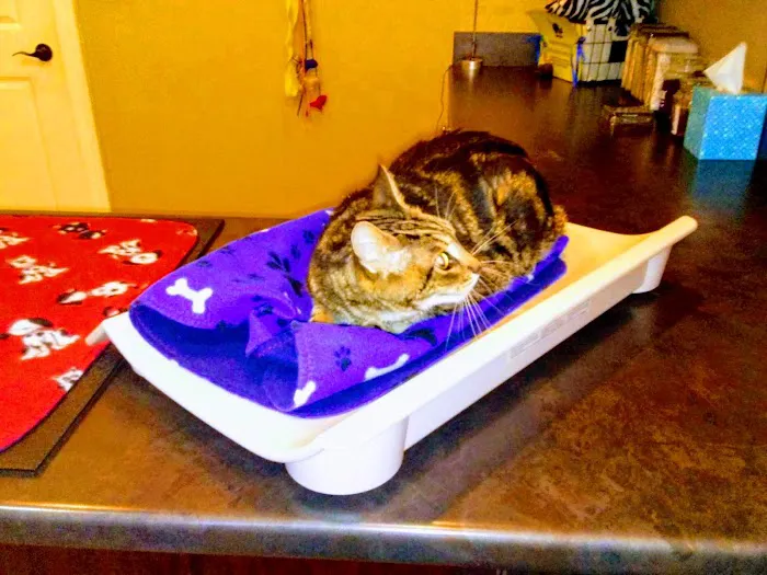 Waterway Animal Hospital Picture 6