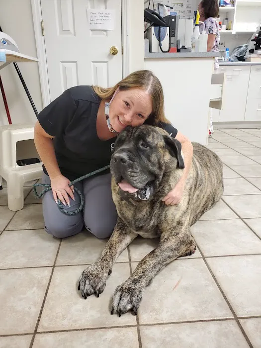 Kind Care Animal Hospital Picture 8