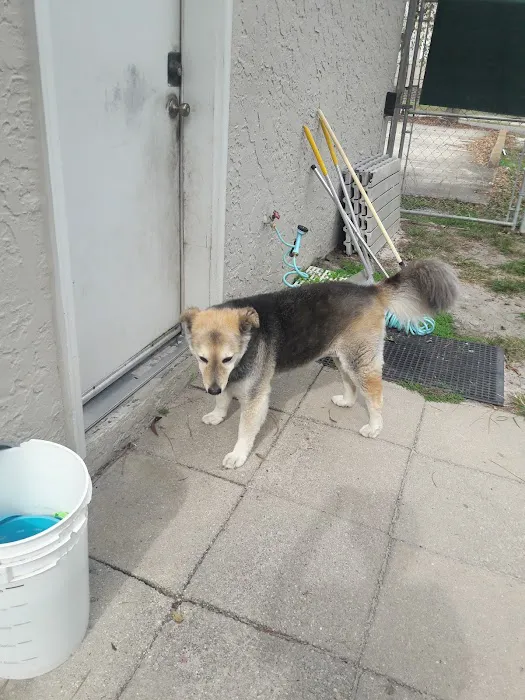 Paws Inn Kennels & Pet Center Picture 8