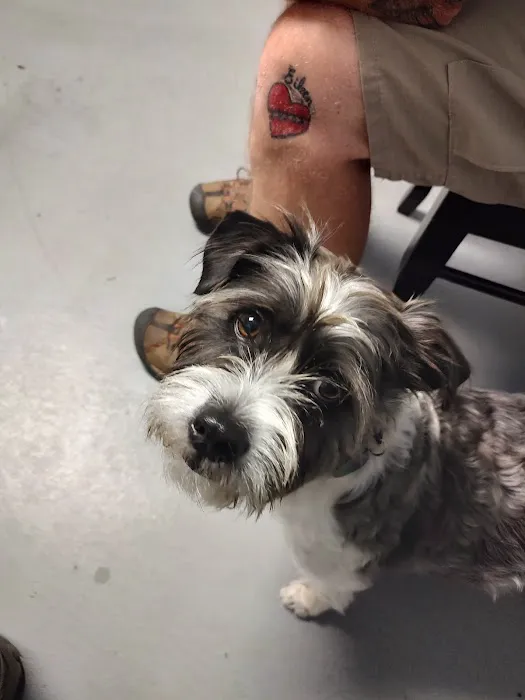 Valley Veterinary Clinic Picture 4