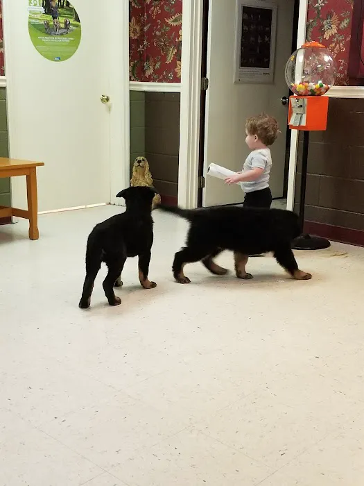 Appalachian Animal Hospital Picture 1