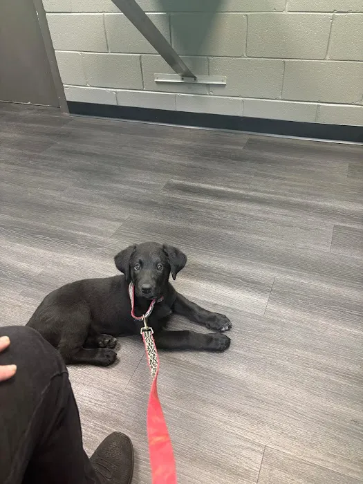 Appalachian Animal Hospital Picture 4