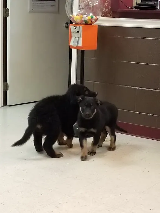 Appalachian Animal Hospital Picture 3