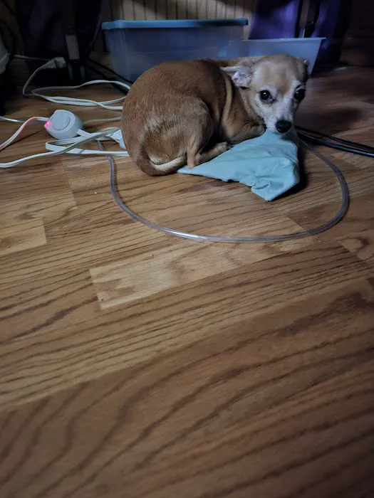 Appalachian Animal Hospital Picture 9