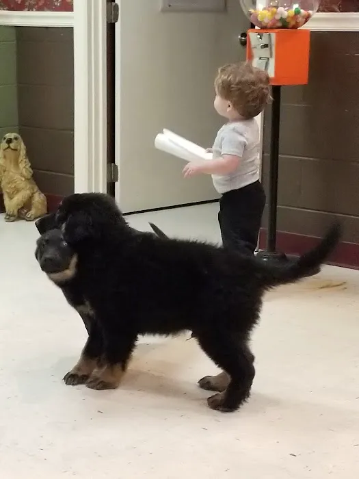 Appalachian Animal Hospital Picture 5