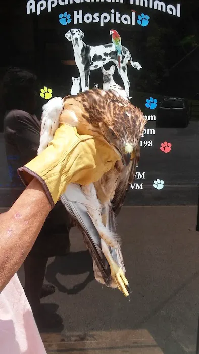 Appalachian Animal Hospital Picture 7