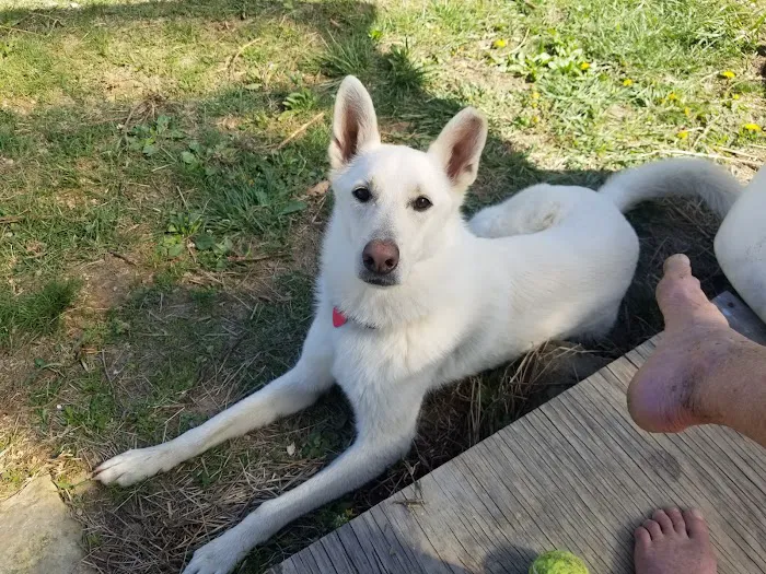 Appalachian Animal Hospital Picture 10