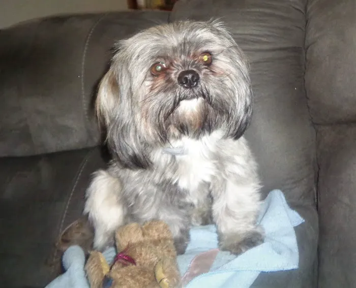 Blount Veterinary Clinic Picture 1