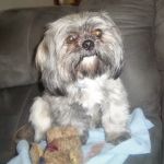 Blount Veterinary Clinic