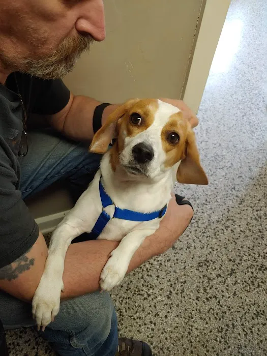 Blount Veterinary Clinic Picture 10