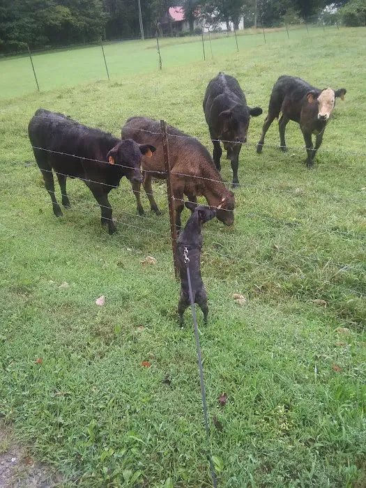 Countryside Veterinary Services Picture 8