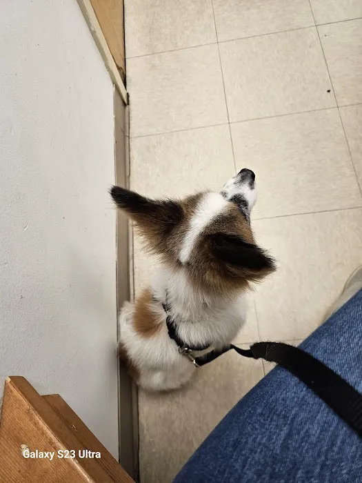 Banfield Pet Hospital Picture 1