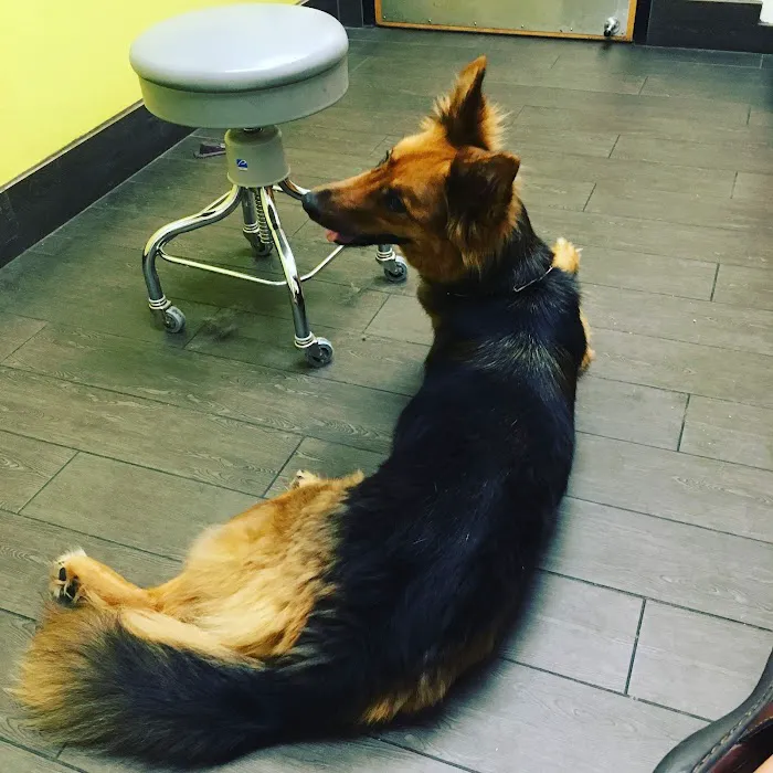 Banfield Pet Hospital Picture 3