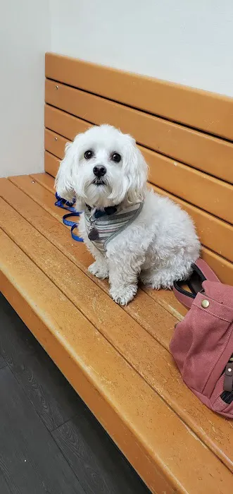 Banfield Pet Hospital Picture 2