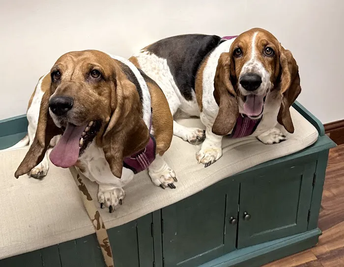 Southwind Animal Hospital Picture 5