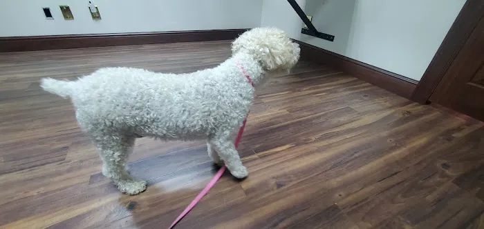 Southwind Animal Hospital Picture 3