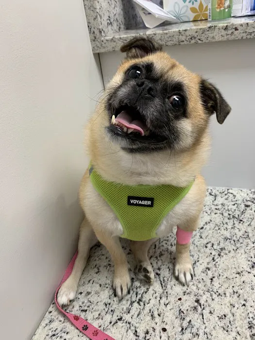 Southwind Animal Hospital Picture 4