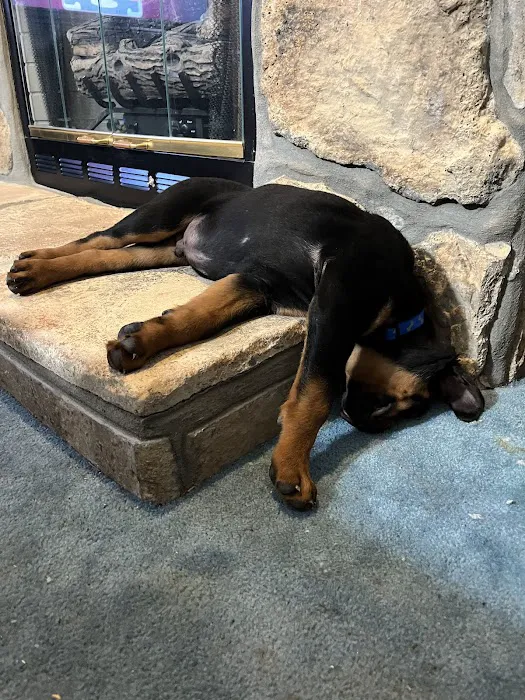 South Rhea Animal Hospital Picture 2