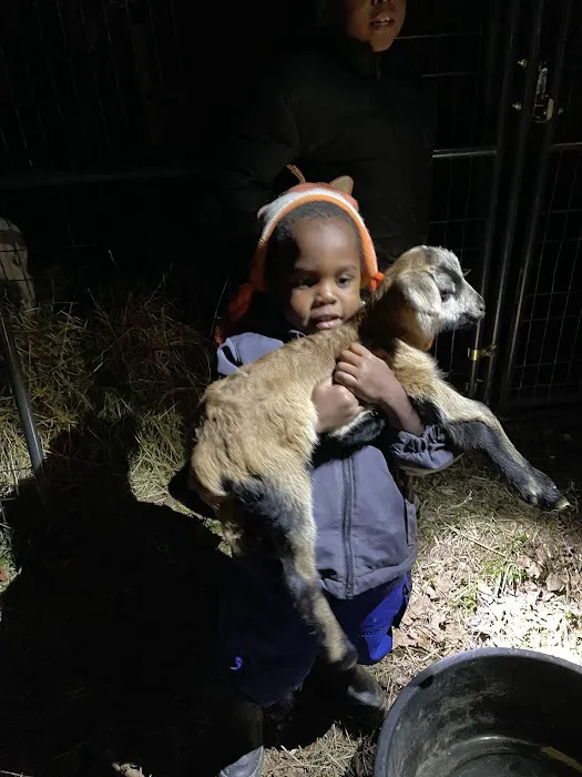 South Rhea Animal Hospital Picture 5