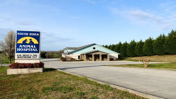 South Rhea Animal Hospital Picture 7
