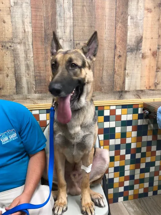 Sale Creek Veterinary Services Picture 10