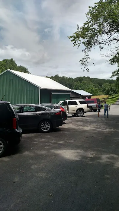 Sale Creek Veterinary Services Picture 9