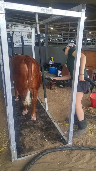 Tyree Veterinary Services Picture 4
