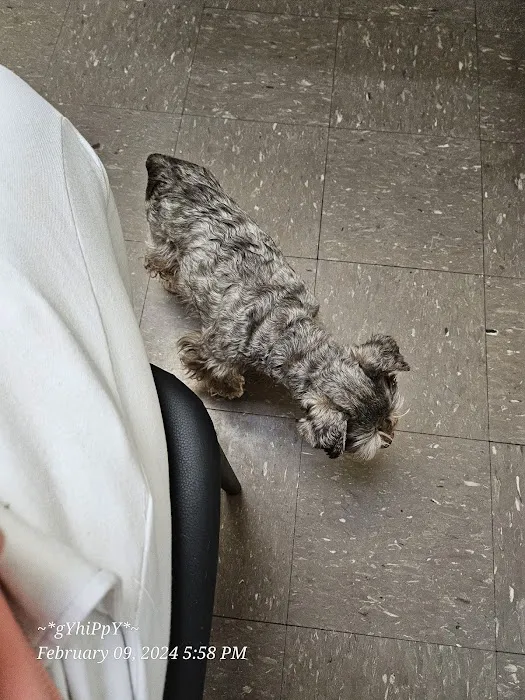 Animal Clinic of Athens Picture 3