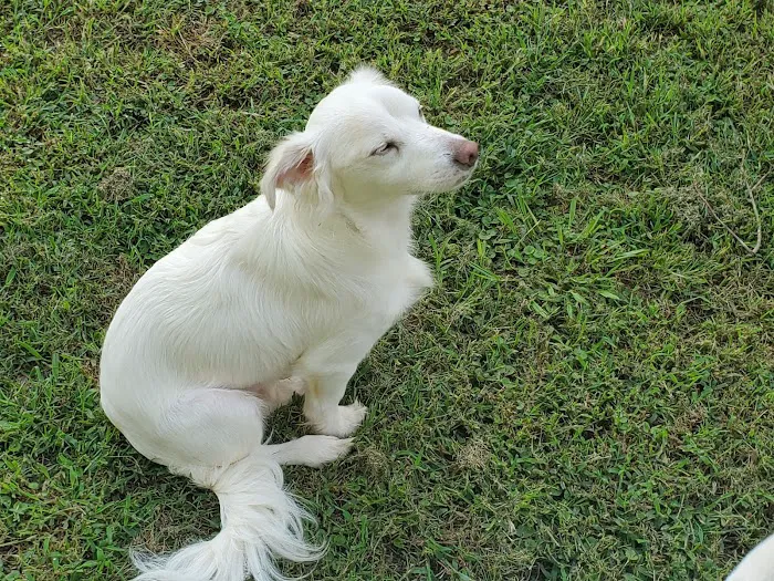 MRHS Spay & Neuter Clinic Picture 2
