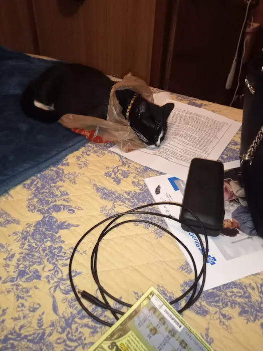 MRHS Spay & Neuter Clinic Picture 4