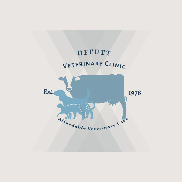 Offutt Veterinary Clinic Picture 9