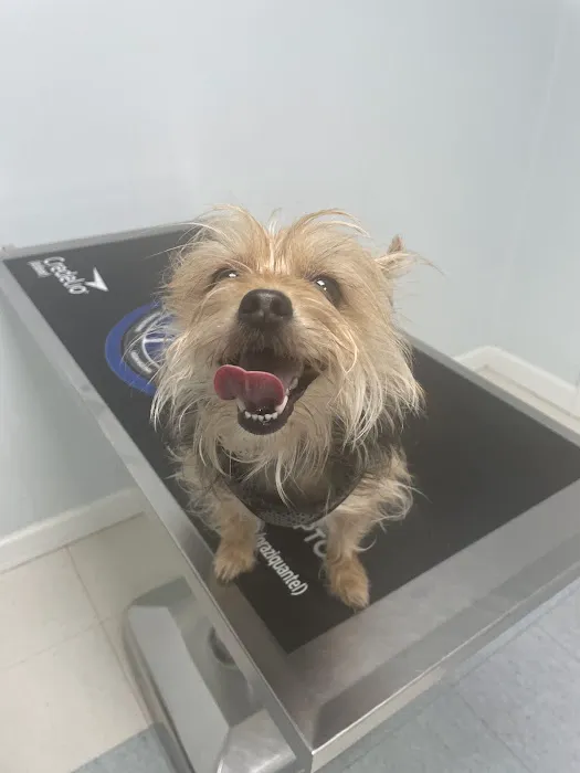 Family & Friend Pet Clinic Picture 6