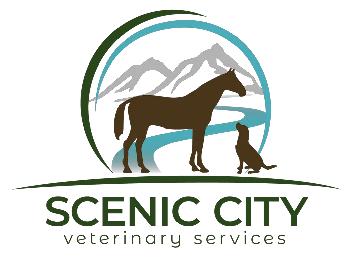 Scenic City Veterinary Services Picture 1