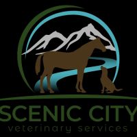 Scenic City Veterinary Services ico