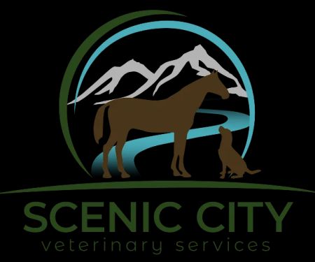 Scenic City Veterinary Services