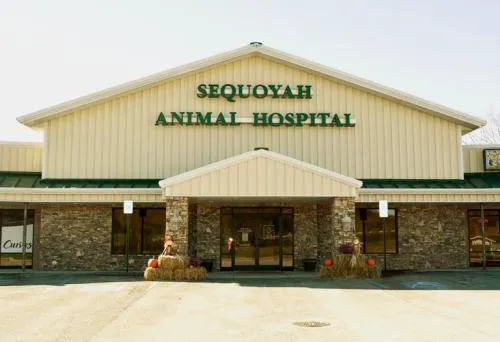 Sequoyah Animal Hospital Picture 3