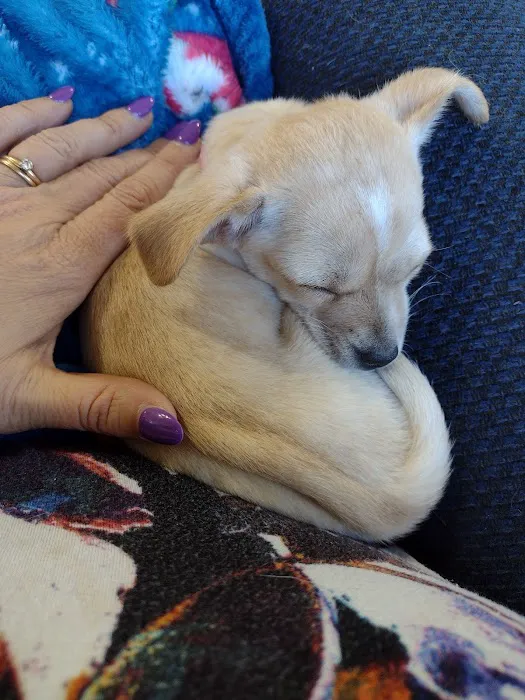 Sequoyah Animal Hospital Picture 9