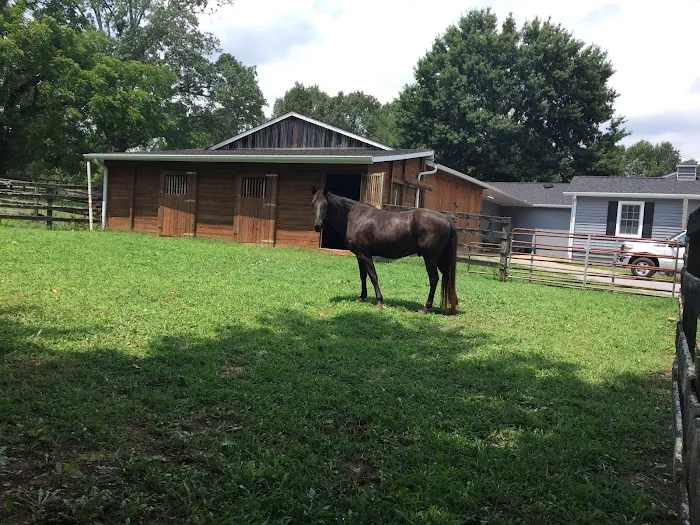 Bradley Veterinary Hospital Picture 3