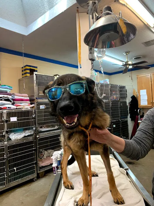 Bradley Veterinary Hospital Picture 9