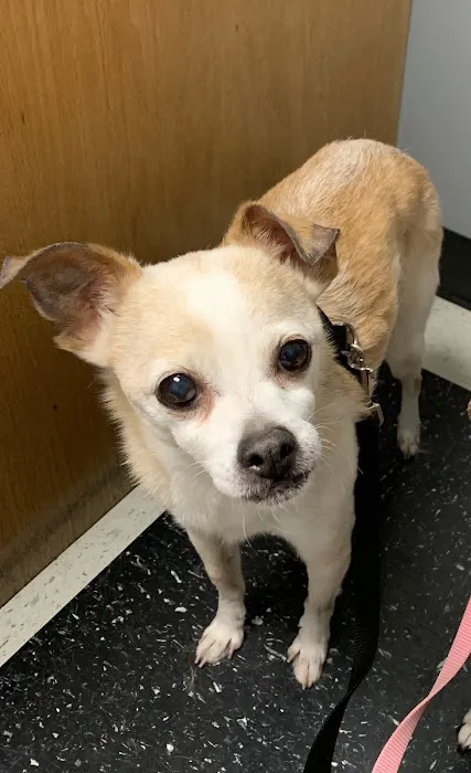 Monroe County Animal Hospital Picture 1
