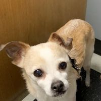 Monroe County Animal Hospital ico