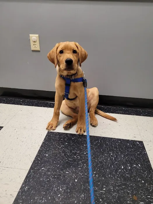 Monroe County Animal Hospital Picture 3