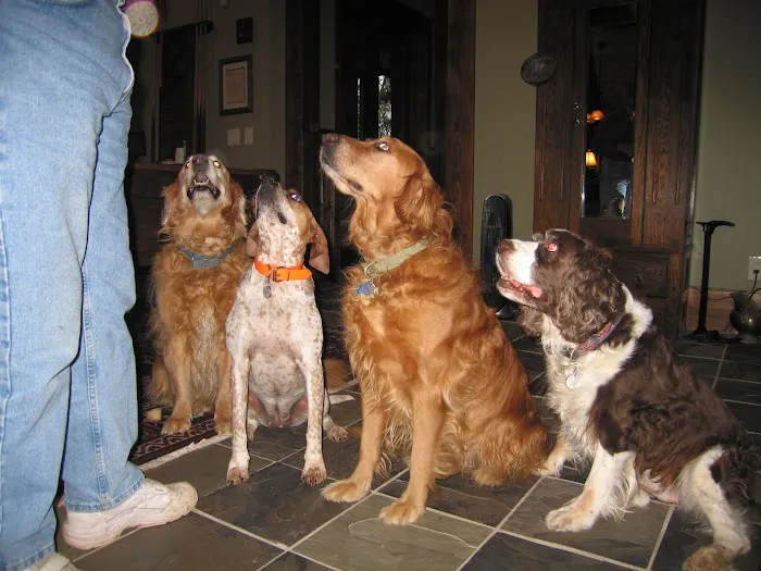 Monroe County Animal Hospital Picture 10