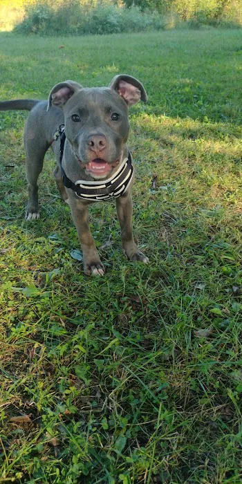 Notchey Creek Veterinary Picture 1